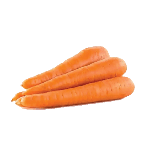 GAJOR 500 GM