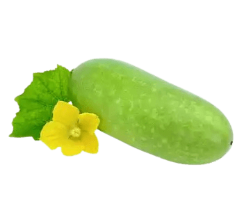 JALI PC