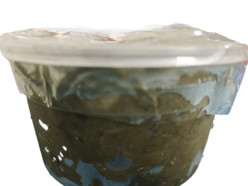 KOCHU SHAK PASTE 250 GM