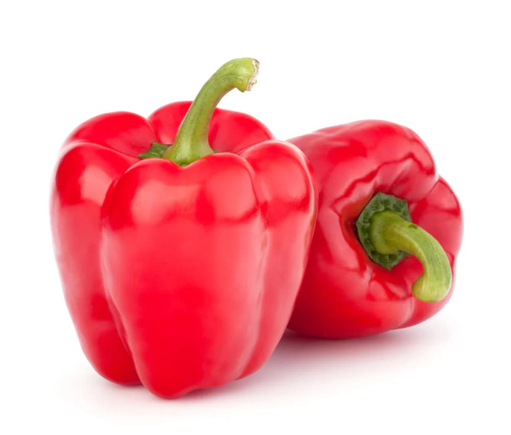 CAPSICAM RED 250 GM