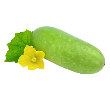 Ecom
