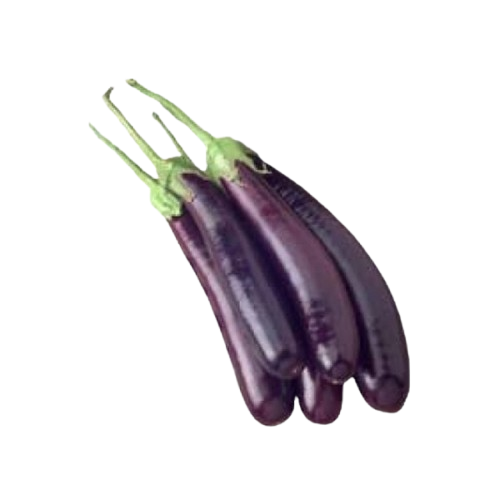 Ecom